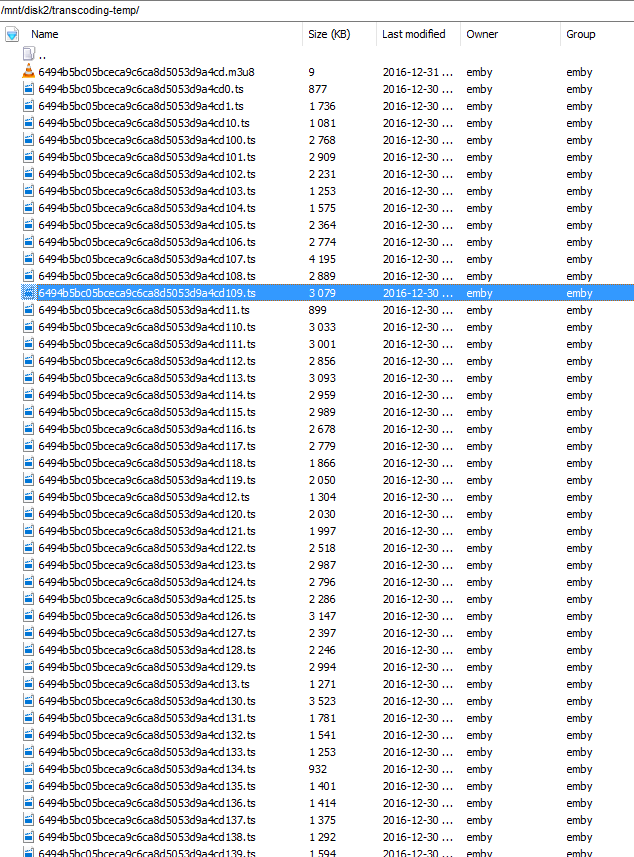 58673c0e9e1a5_embytranscodingfiles.png