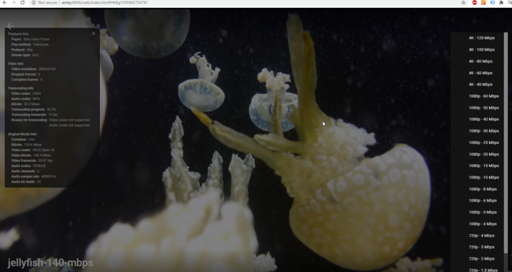 2020-07-28 22_49_33-jellyfish-140-mbps.png