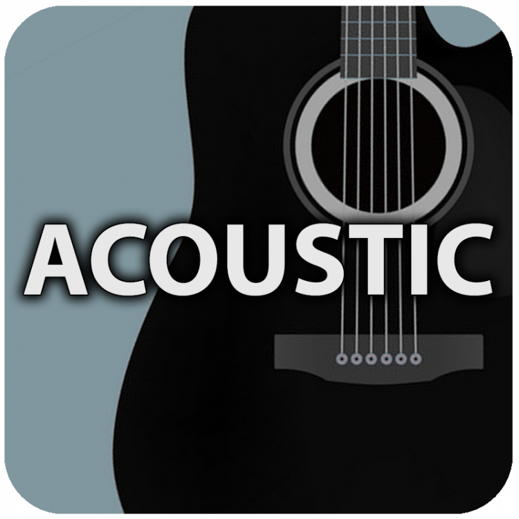 Acoustic 2.png