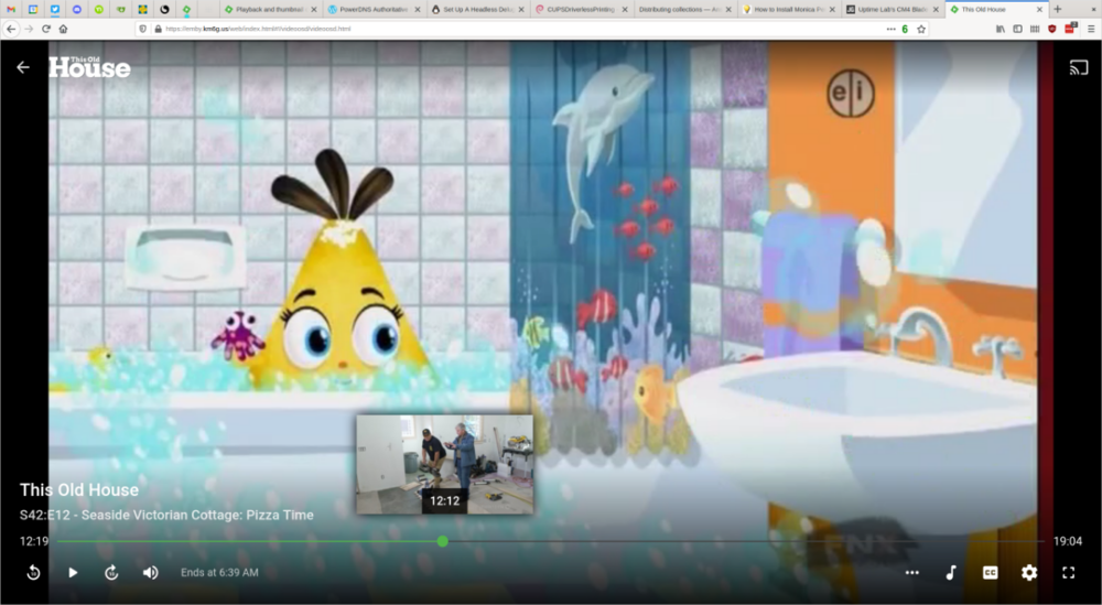 Screenshot from 2021-08-09 06-21-19.png