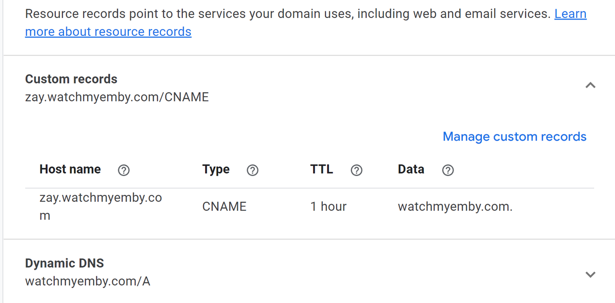 2021-10-23 09_53_10-Google Domains - DNS.png