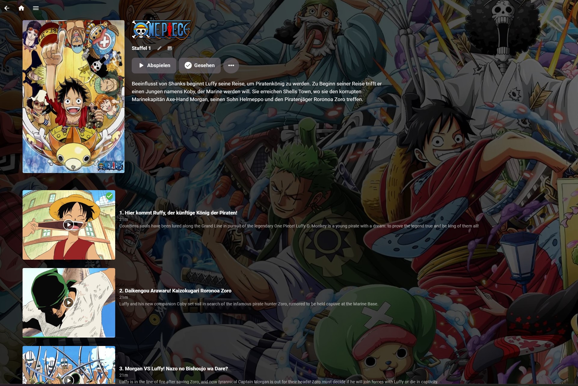 The Grand Search for One Piece