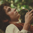FrodoBaggins