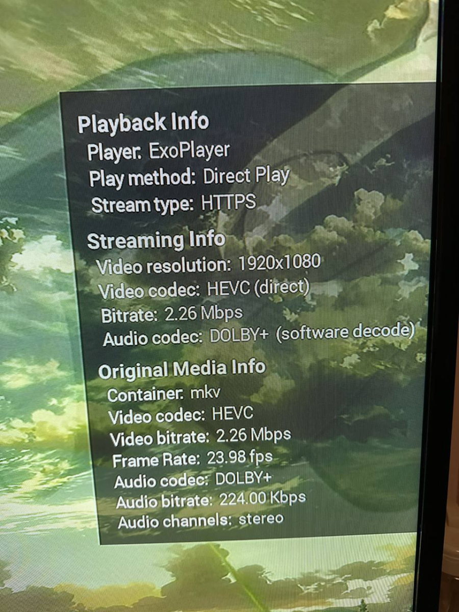 Does ETA lack option to downmix audio to AAC like Android TV? Android