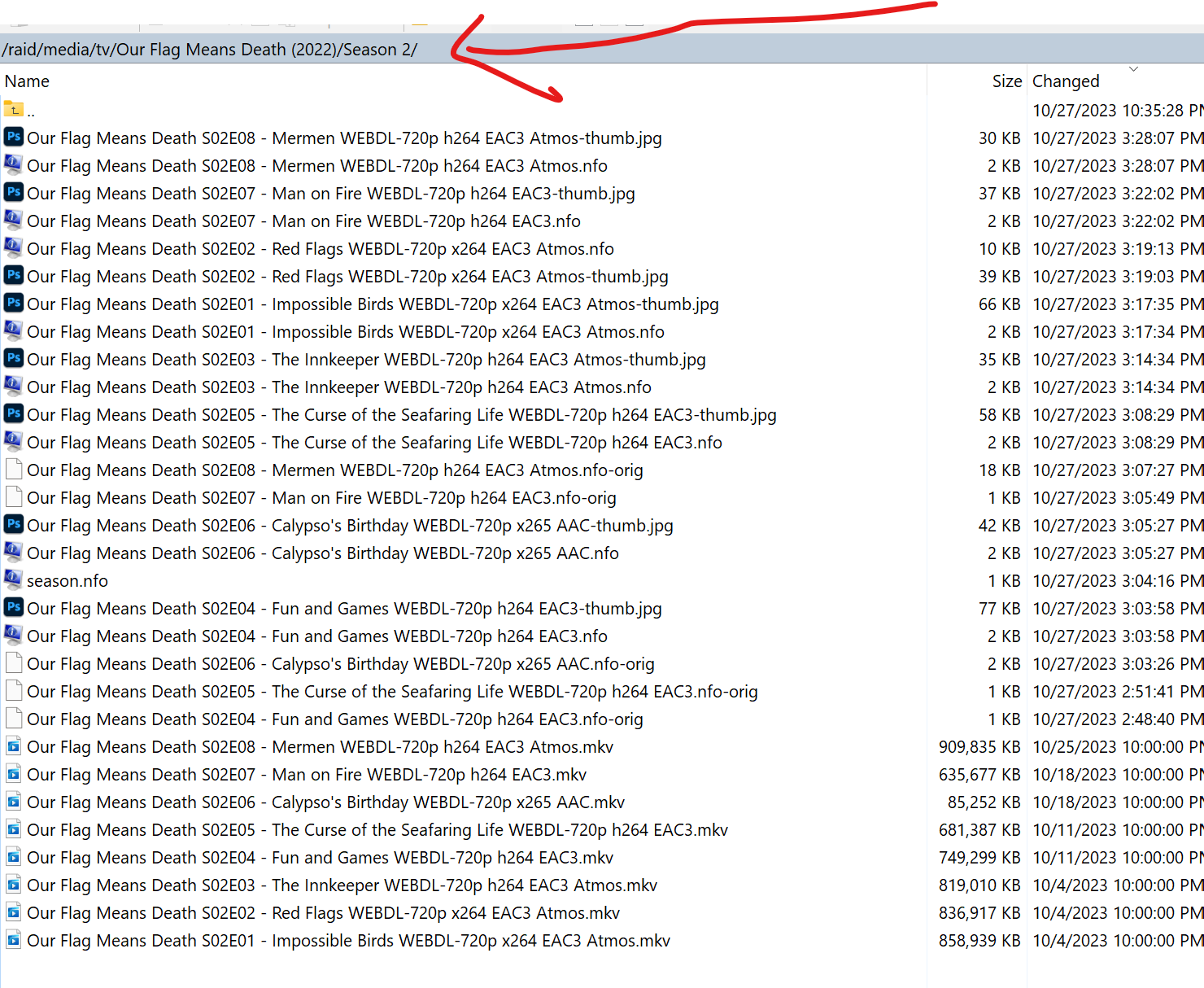 How to keep folder structure and file names and not using Emby TV