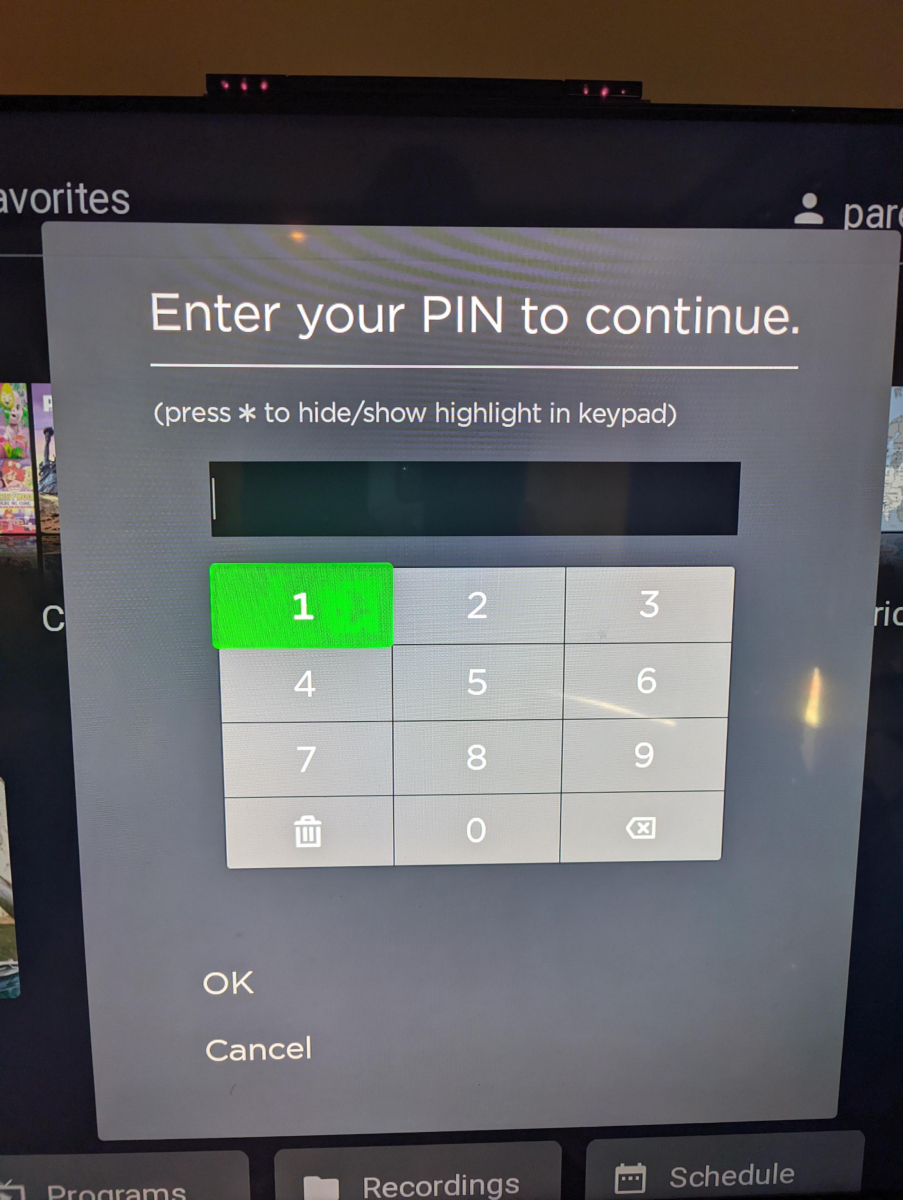 pin not working screen.jpeg