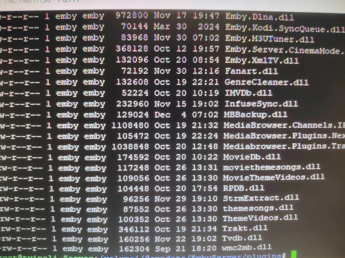462637905_27763068686641582_6161798003562850025_n.jpg