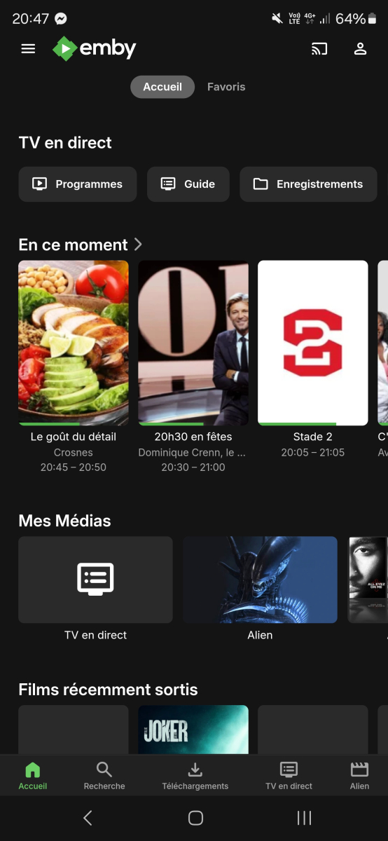 Capture d'écran_20241229_204751_Emby.jpg