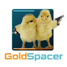 GoldSpacer