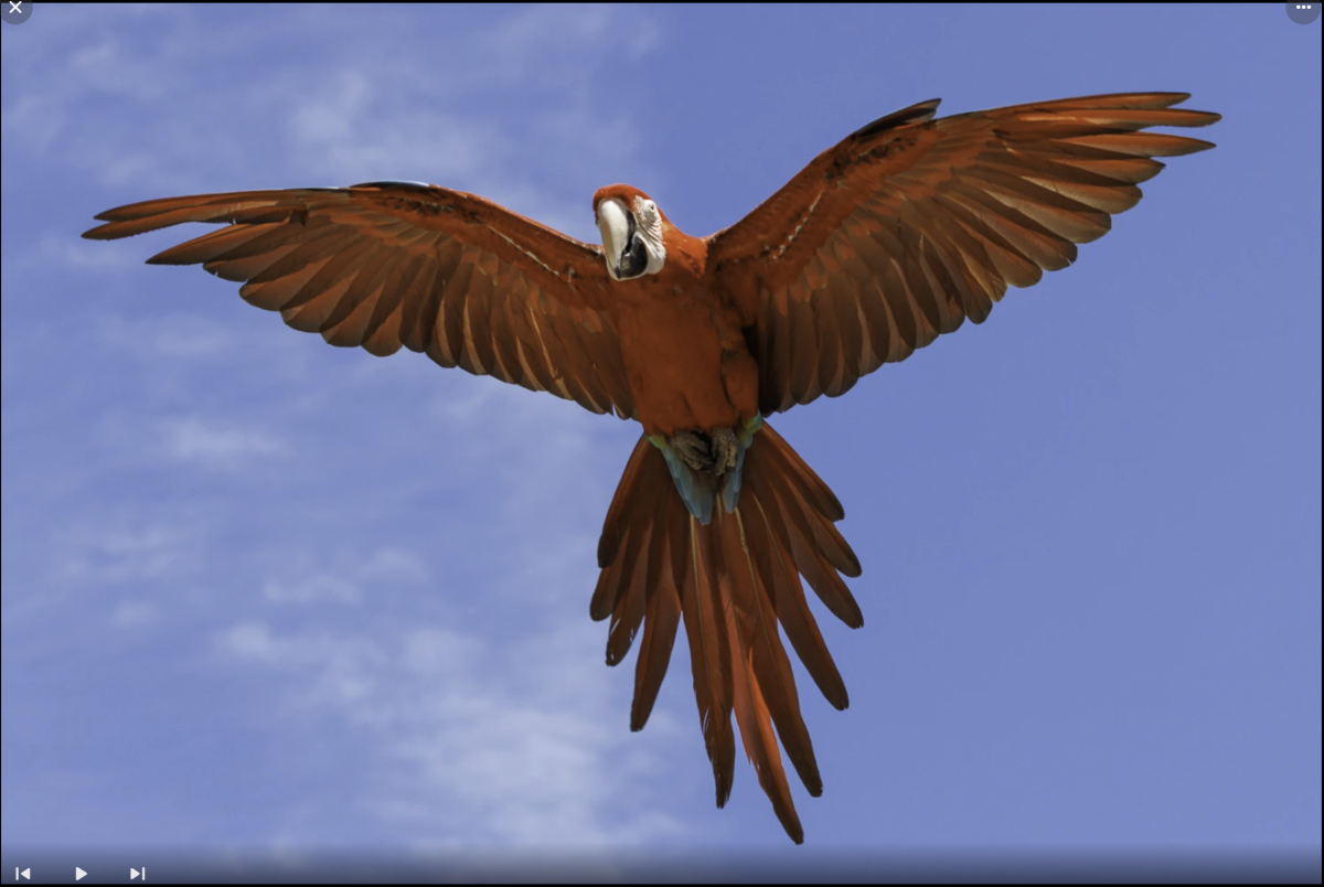 Low_Res.thumb.png.8c6a4a3219437b4badecd2a9de9945eb.png