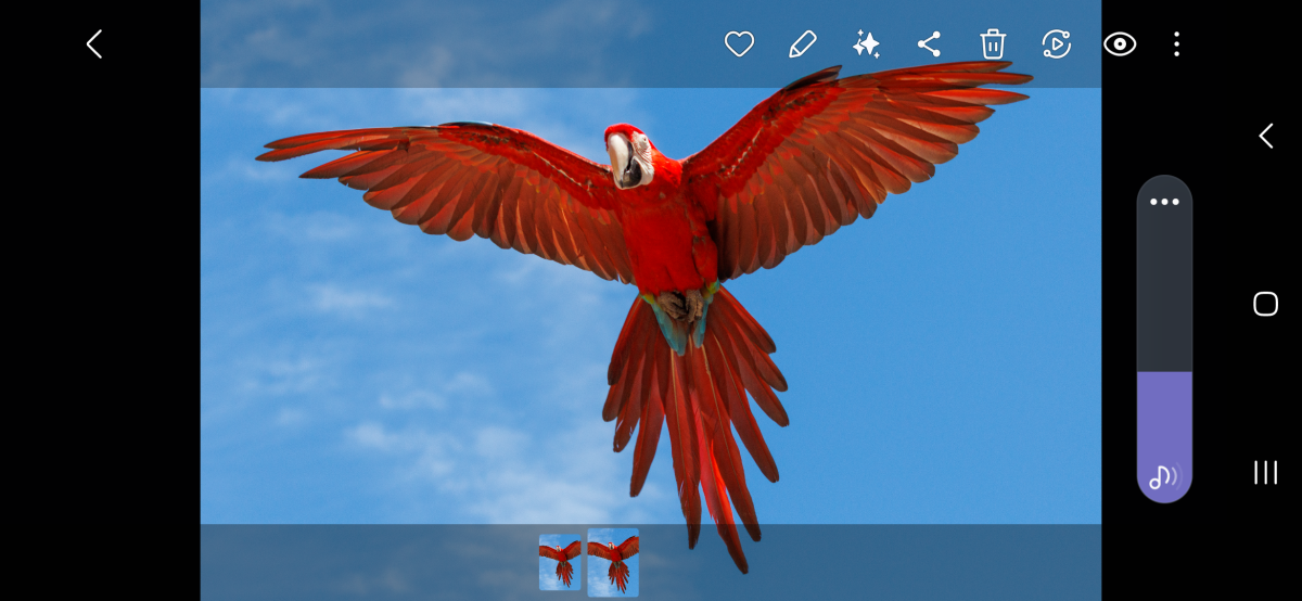 Screenshot_20250123_224017_Gallery.png