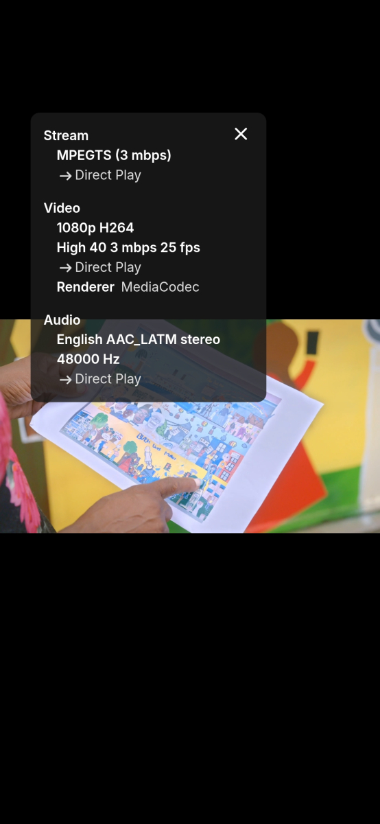 Screenshot_20250209_113154_Emby.thumb.jpg.c651f9e760ffe12d8d13adc65c0febaf.jpg