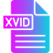 codec_xvid.png.bab16144c59edbb378f571c93d4de7d9.png