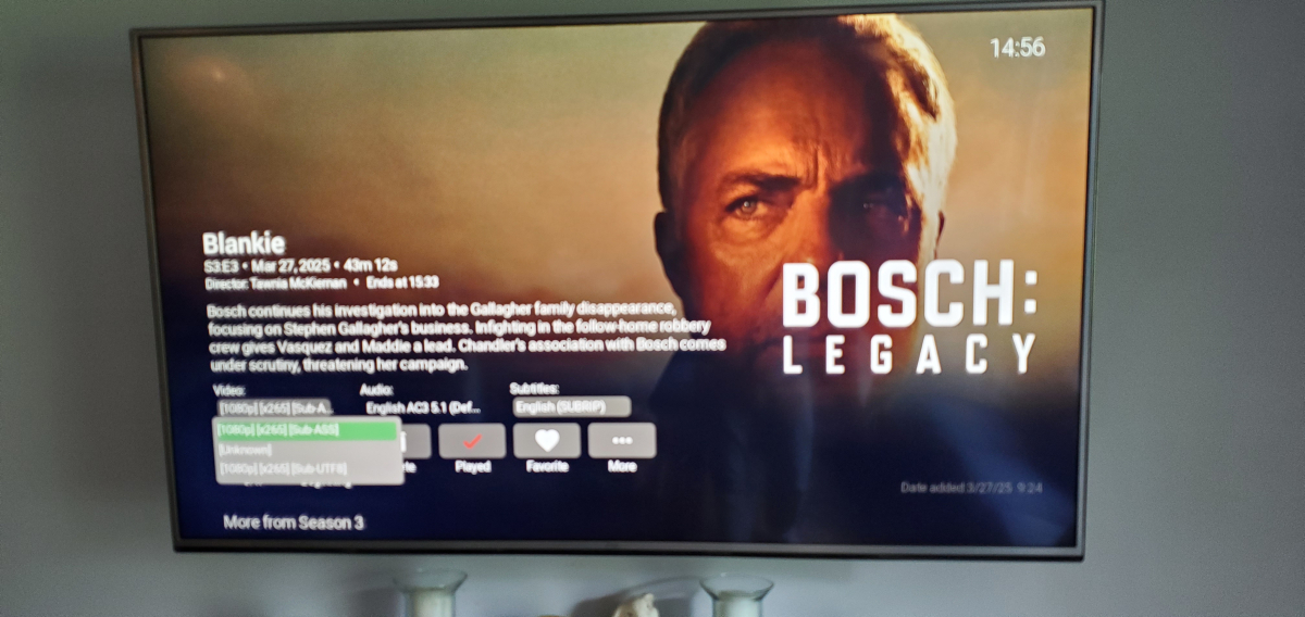 Emby(Roku) Subtitles Issue (ASS Title Page) 20250410_145619.jpg