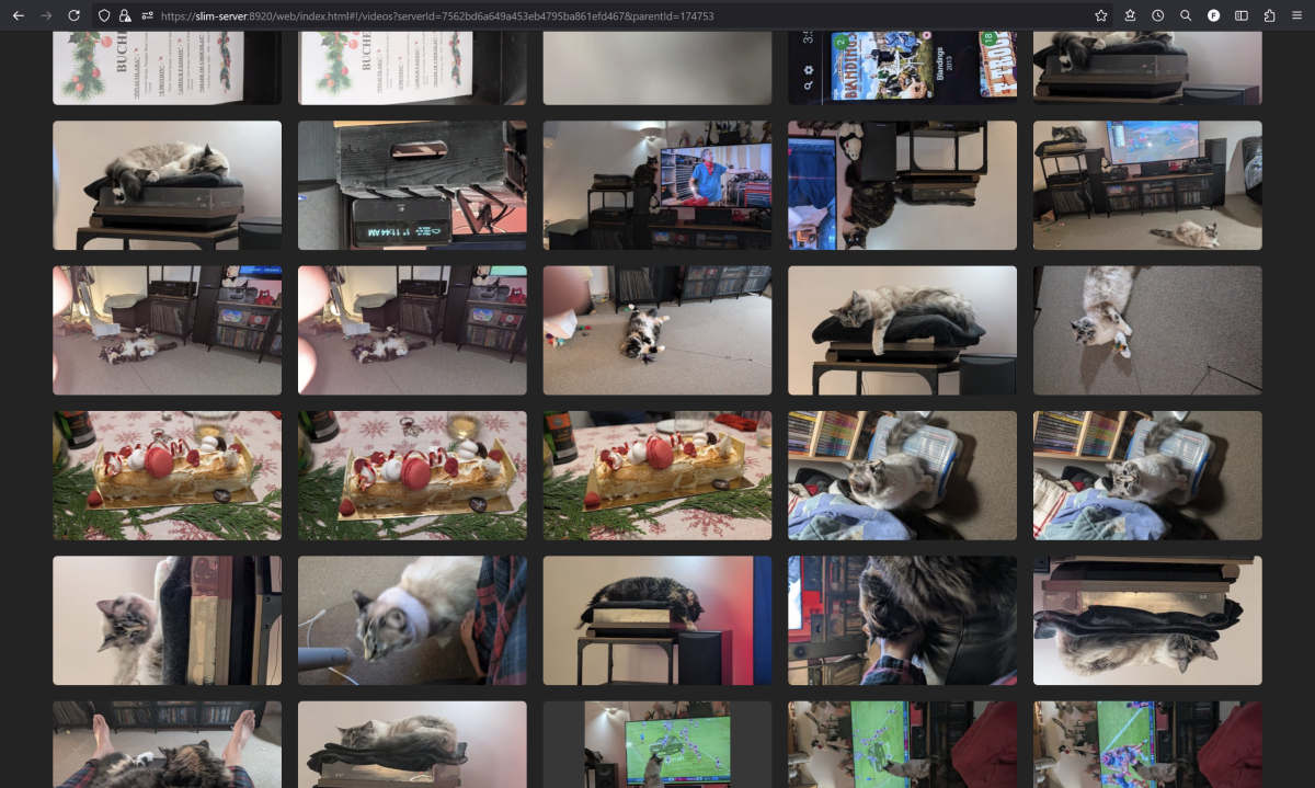 image.thumb.png.bd0d47e9a2c34a023075ed70cf5b9e8e.png