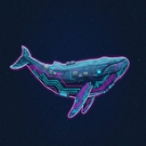 SkyNetWhale