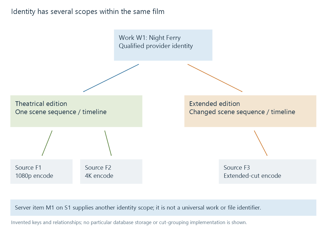 One described film has theatrical and extended editions; the theatrical edition has two encodes, while server item identity supplies another distinct scope.