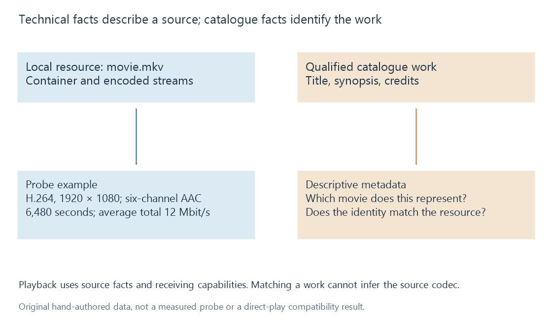 A fictional resource supplies container and stream facts to technical analysis, while a provider supplies a work description; playback decisions use both in different roles.