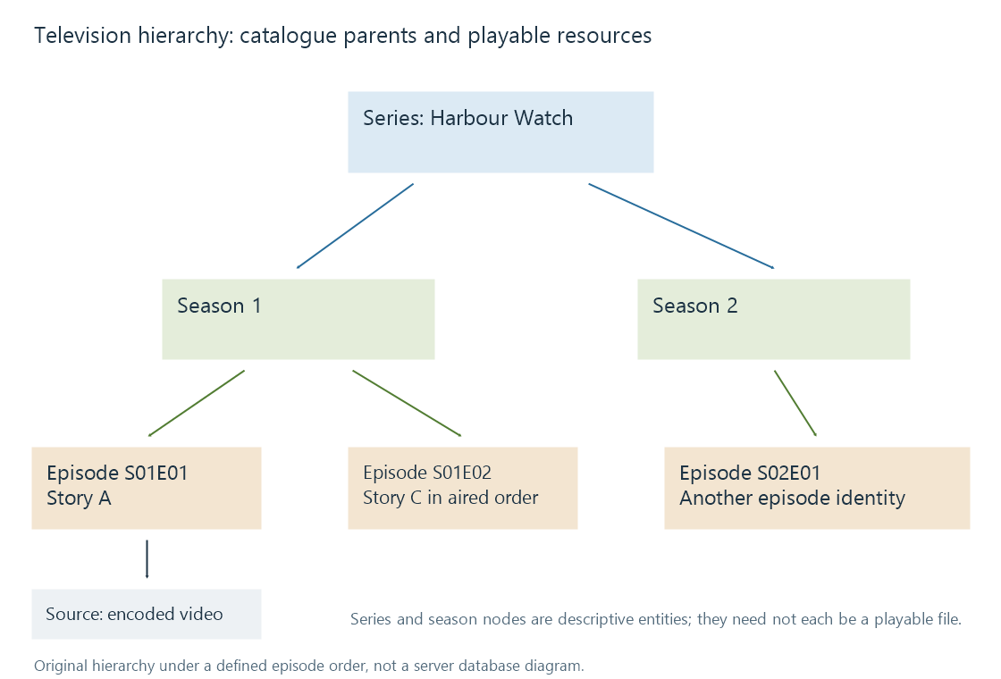 A fictional series has two season entities, episode children and playable sources below individual episodes; series and season nodes need not be files.