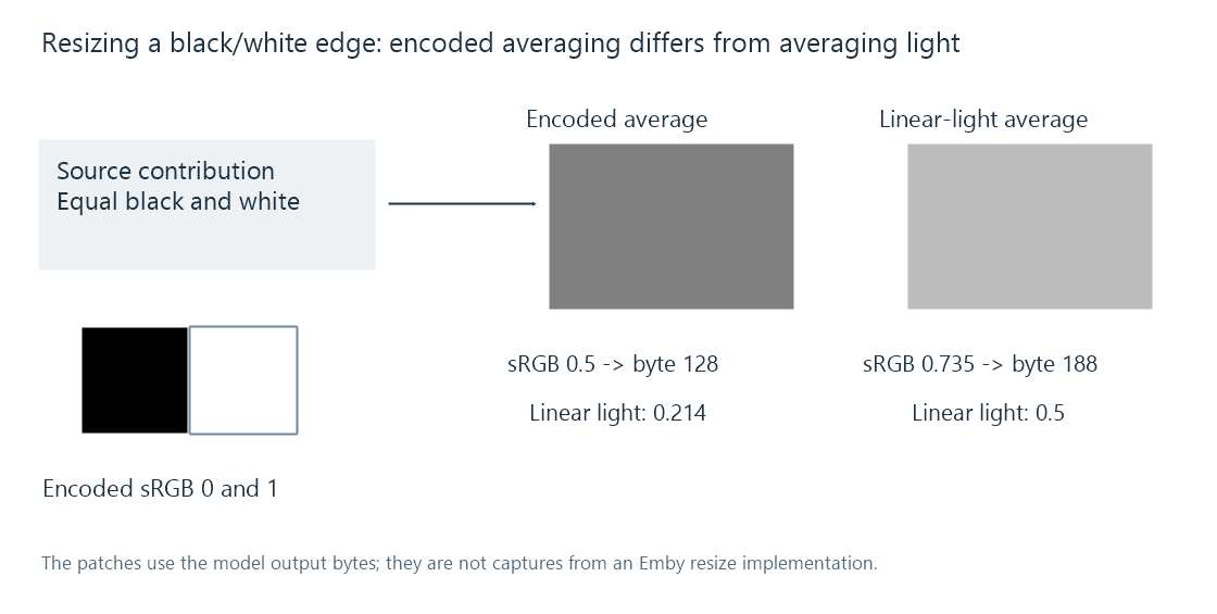 Equal black and white contributions produce different stored gray values when averaged in encoded sRGB or linear light.