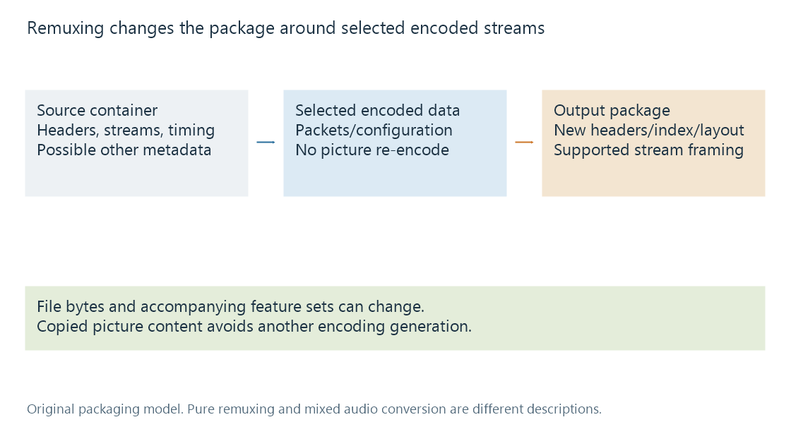An original remux model moves selected encoded packets between container structures while leaving picture reconstruction outside the server path.