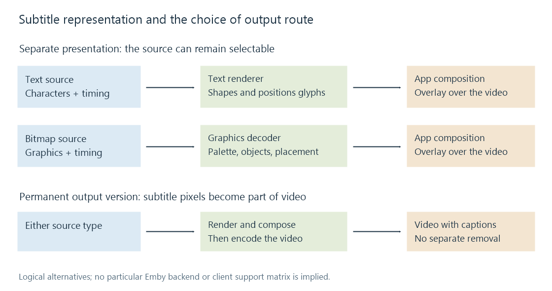 Text and bitmap subtitle data can each remain selectable, while captions incorporated into video pixels are permanent in that video version.