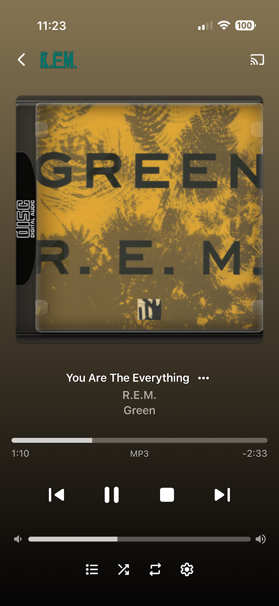 Music playing in Emby on a phone