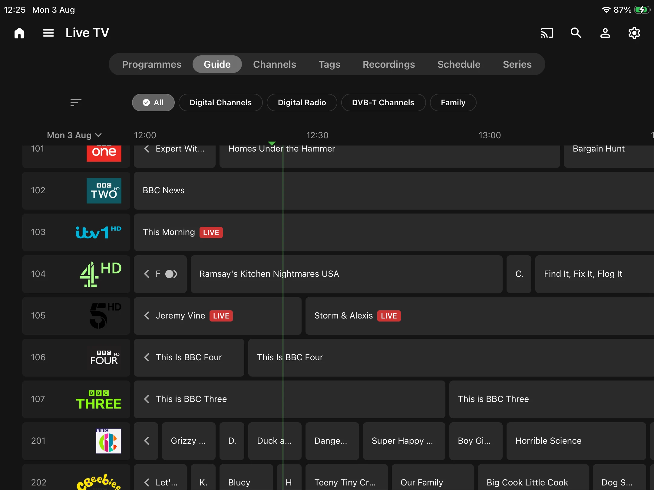 Emby Live TV guide on iPad